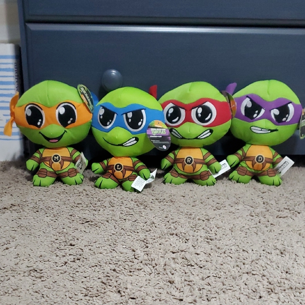Teenage Muntant Ninja Turtle Set